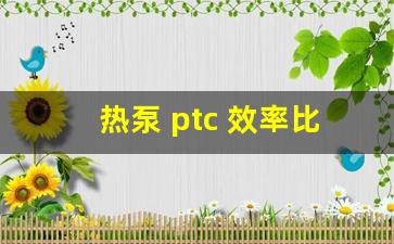 热泵 ptc 效率比较